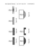 System, Method and Devices for Tissue-Based Diagnosis diagram and image