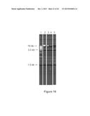 System, Method and Devices for Tissue-Based Diagnosis diagram and image