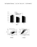 TRANSFECTION WITH MAGNETIC NANOPARTICLES diagram and image