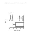 REDUCTION OF TGF BETA SIGNALING IN MYELOID CELLS IN THE TREATMENT OF     CANCER diagram and image