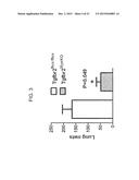 REDUCTION OF TGF BETA SIGNALING IN MYELOID CELLS IN THE TREATMENT OF     CANCER diagram and image