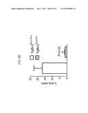 REDUCTION OF TGF BETA SIGNALING IN MYELOID CELLS IN THE TREATMENT OF     CANCER diagram and image