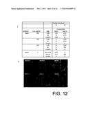 METHODS OF MODIFYING ALGAL CELL GENOMES diagram and image