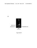 METHODS FOR ENHANCING ROOT GROWTH OF PLANTS diagram and image