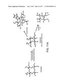 PROCESSING BIOMASS diagram and image