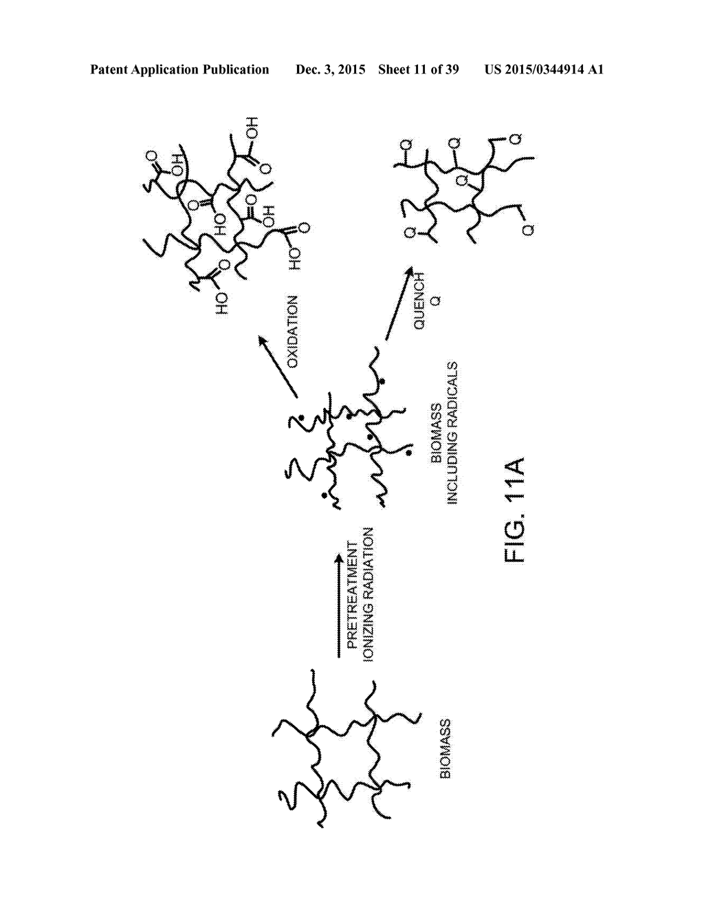 PROCESSING BIOMASS - diagram, schematic, and image 12