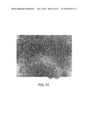 PROCESSING BIOMASS diagram and image