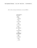 METHOD FOR PRODUCING 3-HYDROXYPROPIONIC ACID AND OTHER PRODUCTS diagram and image