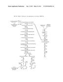 METHOD FOR PRODUCING 3-HYDROXYPROPIONIC ACID AND OTHER PRODUCTS diagram and image