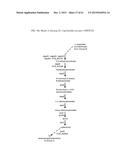 METHOD FOR PRODUCING 3-HYDROXYPROPIONIC ACID AND OTHER PRODUCTS diagram and image