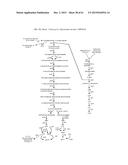 METHOD FOR PRODUCING 3-HYDROXYPROPIONIC ACID AND OTHER PRODUCTS diagram and image