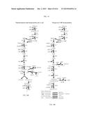 METHOD FOR PRODUCING 3-HYDROXYPROPIONIC ACID AND OTHER PRODUCTS diagram and image