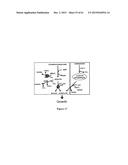 METHOD FOR PRODUCING 3-HYDROXYPROPIONIC ACID AND OTHER PRODUCTS diagram and image