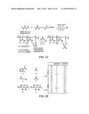 POLYMER ENHANCEMENT OF ENZYMATIC ACTIVITY diagram and image