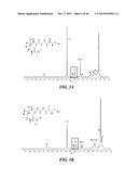 POLYMER ENHANCEMENT OF ENZYMATIC ACTIVITY diagram and image