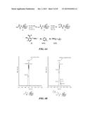 POLYMER ENHANCEMENT OF ENZYMATIC ACTIVITY diagram and image