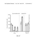 POLYMER ENHANCEMENT OF ENZYMATIC ACTIVITY diagram and image