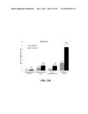 POLYMER ENHANCEMENT OF ENZYMATIC ACTIVITY diagram and image