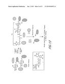 METHOD AND COMPOSITIONS FOR THE DETECTION OF PROTEIN GLYCOSYLATION diagram and image