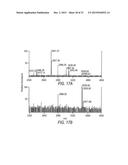 METHOD AND COMPOSITIONS FOR THE DETECTION OF PROTEIN GLYCOSYLATION diagram and image