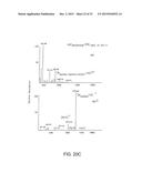 METHOD AND COMPOSITIONS FOR THE DETECTION OF PROTEIN GLYCOSYLATION diagram and image