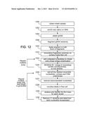 Methods For The Diagnosis Of Fetal Abnormalities diagram and image