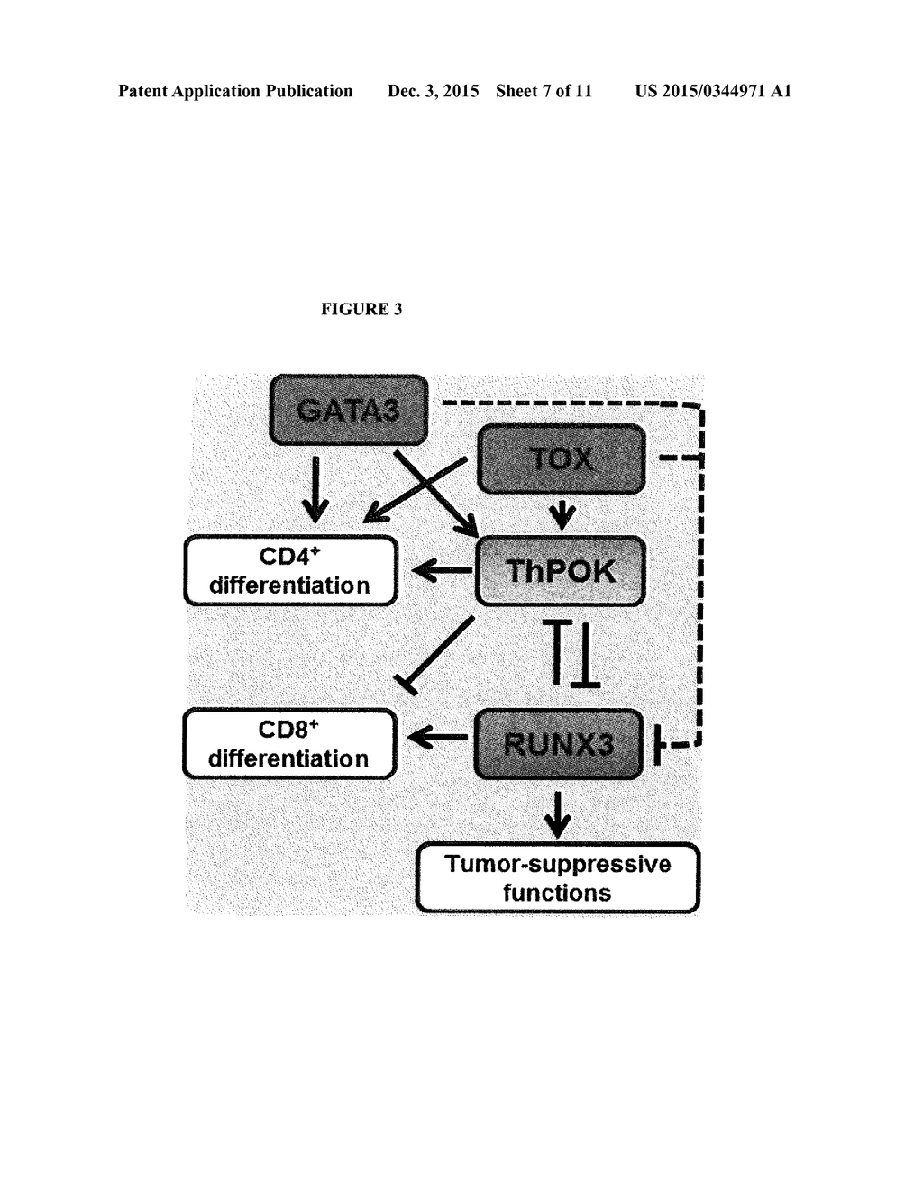 METHOD FOR DIAGNOSIS, PROGNOSIS AND DETERMINATION OF TREATMENT FOR     CUTANEOUS T-CELL LYMPHOMA - diagram, schematic, and image 08