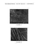 GOLD NANOSTRUCTURES AND PROCESSES FOR THEIR PREPARATION diagram and image