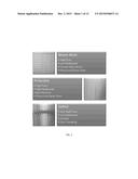 WASTE STREAM EVAULATION AND SCREEN SELECTION SYSTEM diagram and image