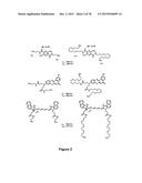 Uniform, Functionalized, Cross-Linked Nanostructures for Monitoring pH diagram and image