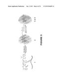 Uniform, Functionalized, Cross-Linked Nanostructures for Monitoring pH diagram and image