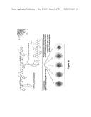 Uniform, Functionalized, Cross-Linked Nanostructures for Monitoring pH diagram and image