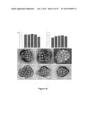 Uniform, Functionalized, Cross-Linked Nanostructures for Monitoring pH diagram and image