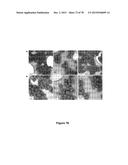 Uniform, Functionalized, Cross-Linked Nanostructures for Monitoring pH diagram and image