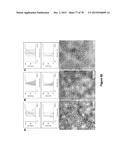 Uniform, Functionalized, Cross-Linked Nanostructures for Monitoring pH diagram and image