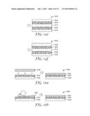 ILLUMINATION DEVICE HAVING VISCOELASTIC LIGHTGUIDE diagram and image