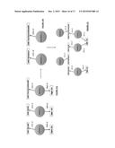 Process and Framework For Facilitating Data Sharing Using a Distributed     Hypergraph diagram and image