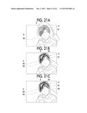 IMAGE PROCESSING APPARATUS, IMAGE PROCESSING METHOD, AND IMAGE PROCESSING     SYSTEM diagram and image