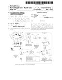 Electromagnetic Persona Generation Based on Radio Frequency Fingerprints diagram and image