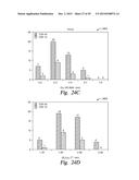 EXTENDED SPIN TORQUE OSCILLATOR diagram and image