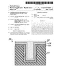 METHOD FOR ELECTROCHEMICALLY DEPOSITING METAL ON A REACTIVE METAL FILM diagram and image