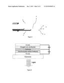 ELECTRONIC APPARATUS HAVING AN OXYGEN ION PUMP diagram and image