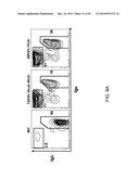 Hybrid Light Chain Mice diagram and image