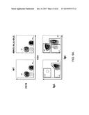 Hybrid Light Chain Mice diagram and image