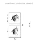 Hybrid Light Chain Mice diagram and image