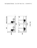 Hybrid Light Chain Mice diagram and image