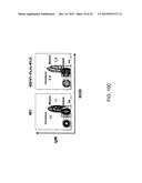 Hybrid Light Chain Mice diagram and image