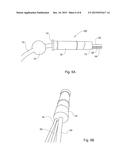 A SEALING DEVICE FOR COLONOSCOPY PROCEDURE diagram and image