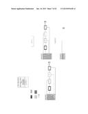 Procedure for dental aesthetic analysis of the smile area and for     facilitating the identification of dental aesthetic treatments diagram and image