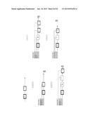 Procedure for dental aesthetic analysis of the smile area and for     facilitating the identification of dental aesthetic treatments diagram and image